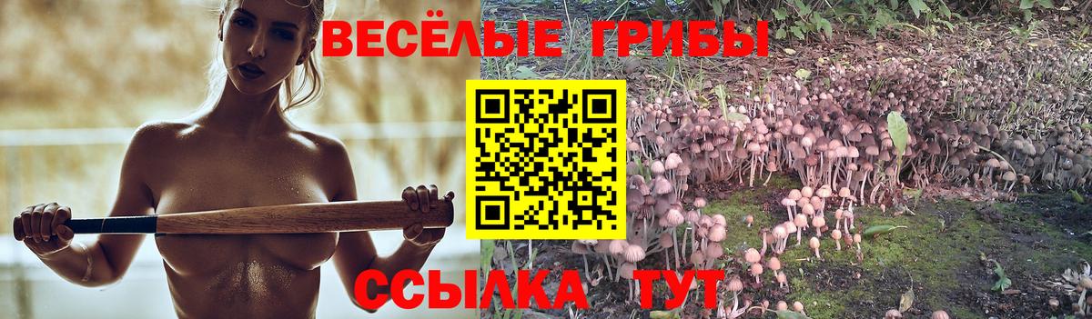 Псилоцибиновые грибы Cubensis  купить   Уварово 