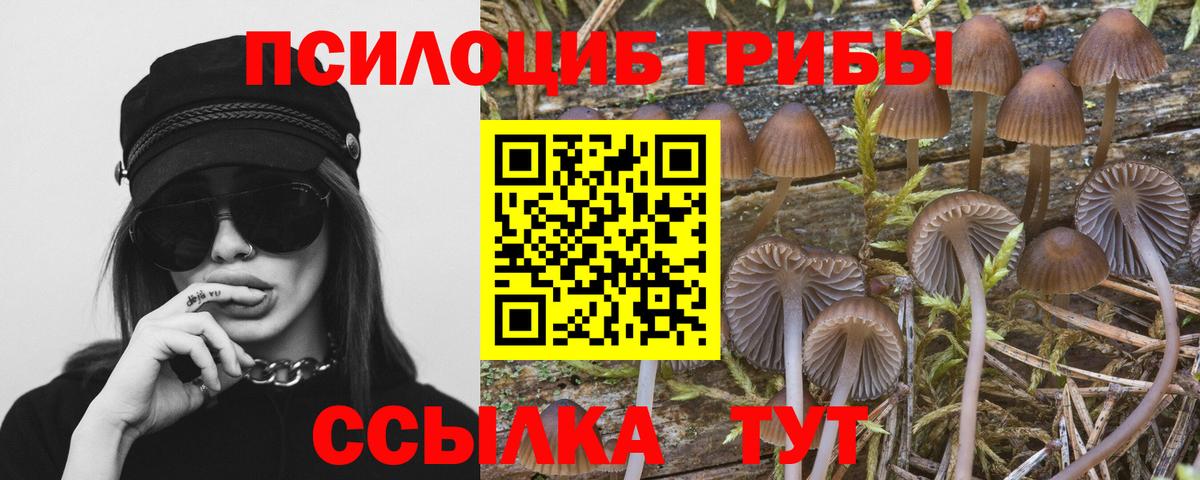 Галлюциногенные грибы MAGIC MUSHROOMS Уварово
